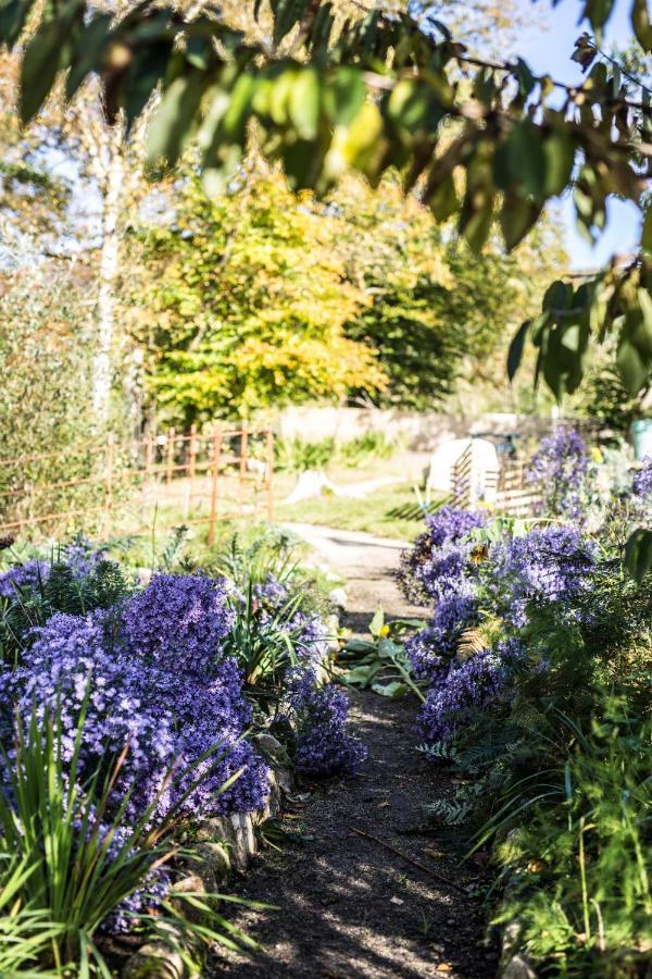 The Wicklow Escape (Adults Only) Donard Exteriör bild