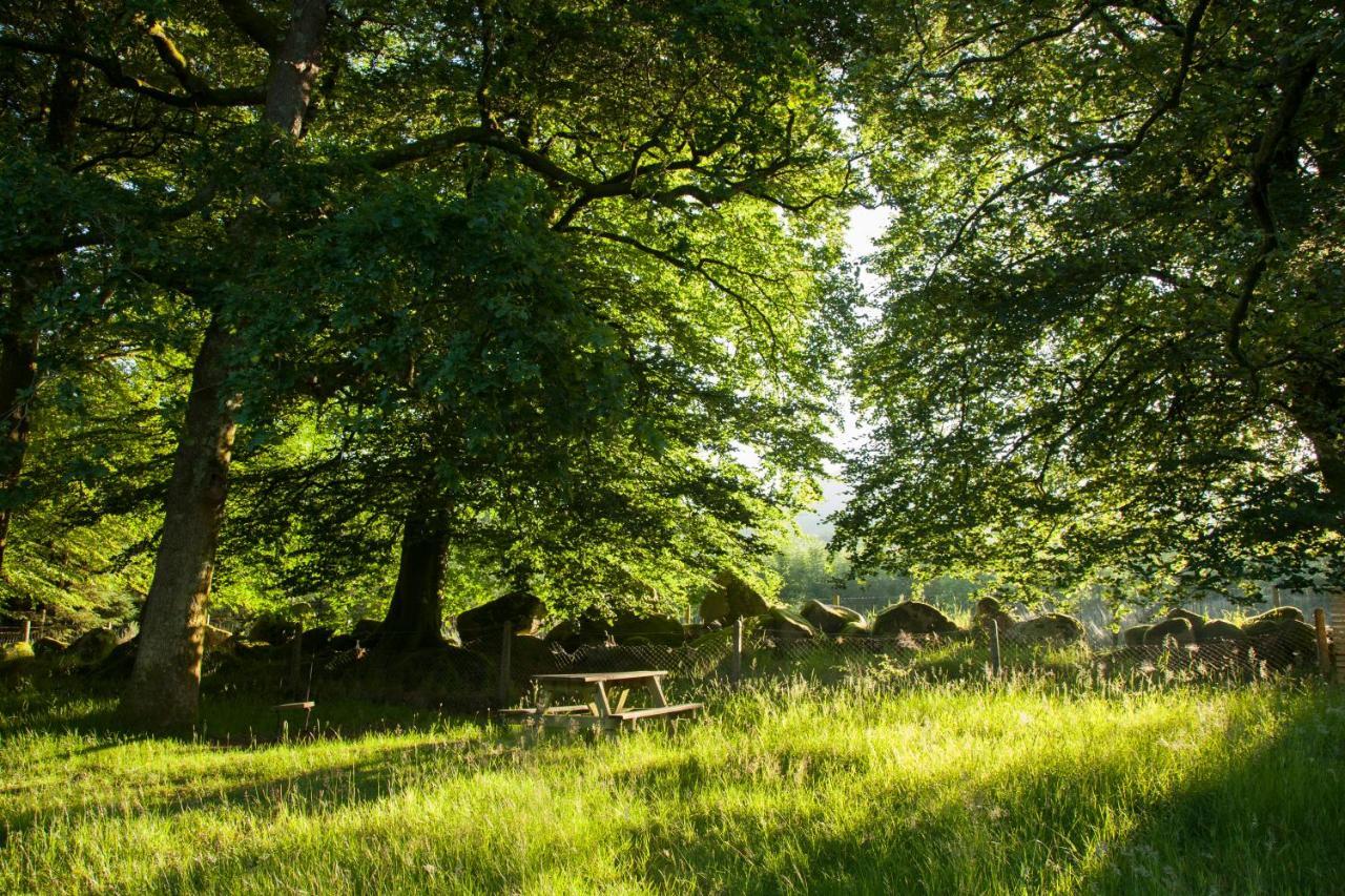 The Wicklow Escape (Adults Only) Donard Exteriör bild